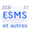 ESMS et autres établissements en Côte d'Or cover art