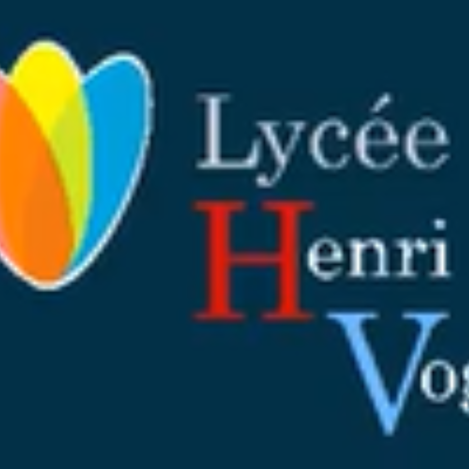 Media Vogt cover art